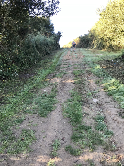 D39B8158-105A-4951-BF66-2F7C2A2665B2 D39B8158-105A-4951-BF66-2F7C2A2665B2