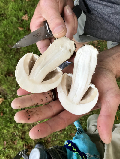 6994F3A7-9F84-4453-96A1-01FA8750C4DF