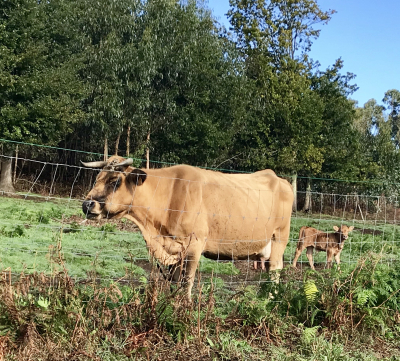 C877D850-AEE7-46E6-9AE9-0DE4650DD6BA