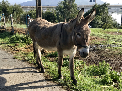 8951F396-434F-48C5-ACE8-E0C27171C4CD