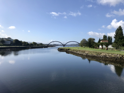 81CDF1D6-F1E4-4187-9960-0948BB80A74E