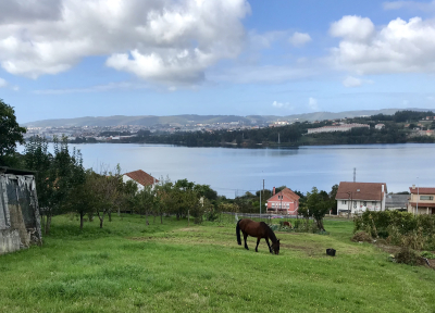 87D7410F-2951-48B5-AAD4-15FCF882ACE6