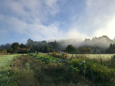 00EE1F4F-7540-45D0-A80D-C017ED531868 00EE1F4F-7540-45D0-A80D-C017ED531868