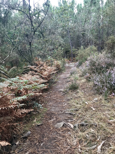 B87F485F-E009-461F-85E0-DC1BA07247BC