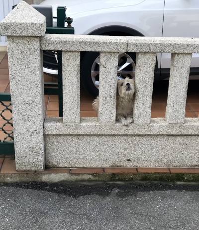 5D97C53E-4F5A-4767-8CD8-1B23071AA127