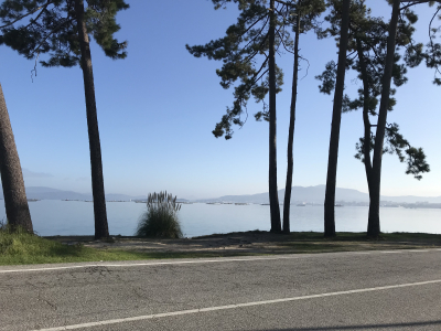 3460D799-86BF-4225-B3FB-3598830566B3