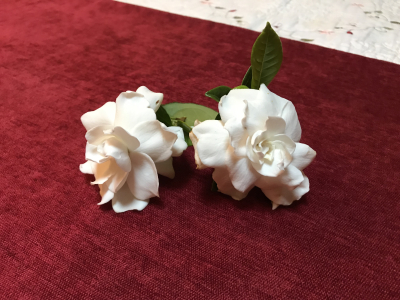 315E2CAC-C549-46E9-861D-CB9903192774