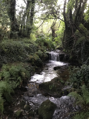 0F6EBA16-2E32-4D4A-9B72-8C010C2D5AA1 0F6EBA16-2E32-4D4A-9B72-8C010C2D5AA1