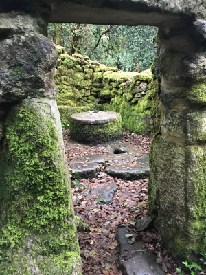 FA4F9B8B-ED98-4C78-BF10-D90A3E58B54A FA4F9B8B-ED98-4C78-BF10-D90A3E58B54A