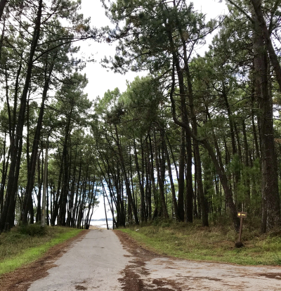 FD7AF0C9-57DA-455C-8C8E-BAF2D47C5DB0 FD7AF0C9-57DA-455C-8C8E-BAF2D47C5DB0