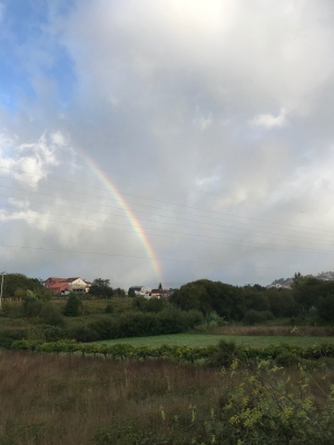 60083D71-7713-4BA4-8568-8209ED4A62BB