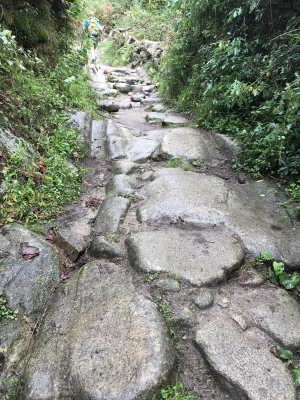 4A667C7D-BCF7-493F-A9AA-2A3DC9A2E35D