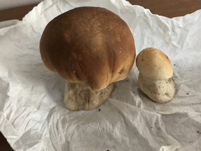 F9F0B9D8-CABF-4618-A529-300CAA5CE3C6