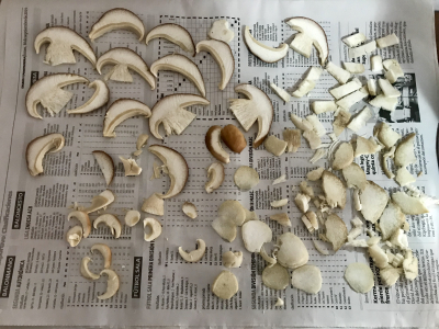 D4B2EF3B-74CE-4F69-B548-4333F4DC8B5B