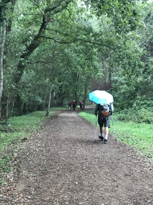 0BC21CF6-4CD8-4EA4-9121-752B55B57C0F