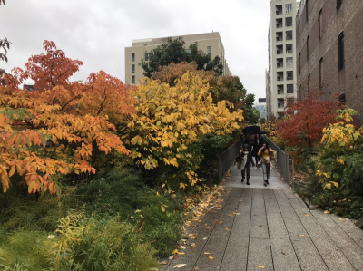 739B400A-D104-4F8B-971A-5365EB918E29