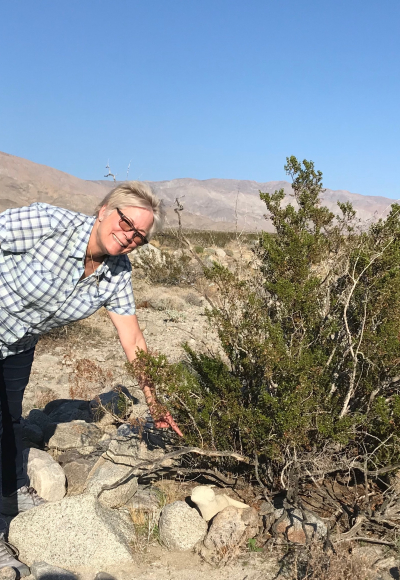 76011141-E98D-4800-9CA9-D9239F6CF6C2