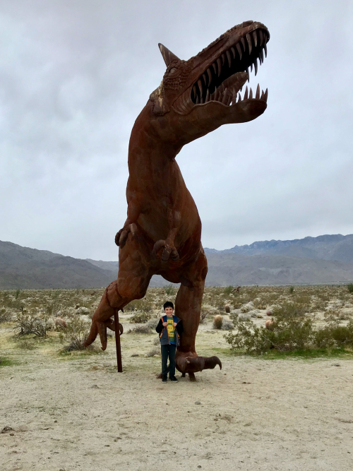 E1164B0E-900E-49EA-AADA-76847C7E5E05