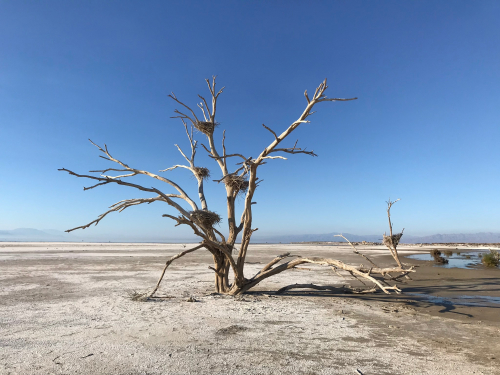 1B87F687-2B3D-4A30-A7C8-977EC31CD16B