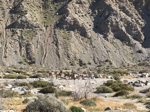 9CA5850F-8BF5-4FD9-B7AD-E025CBAF4BAA