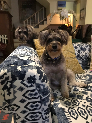 563CC172-C80E-4918-9BD4-2E4926BEA356