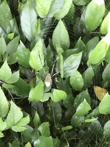 P7flpQrgQsamG8OyqbmEOg