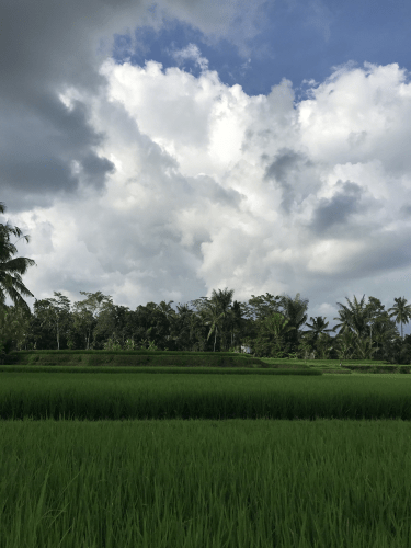 3waNYpJgRlKD9aYZo3XTbg