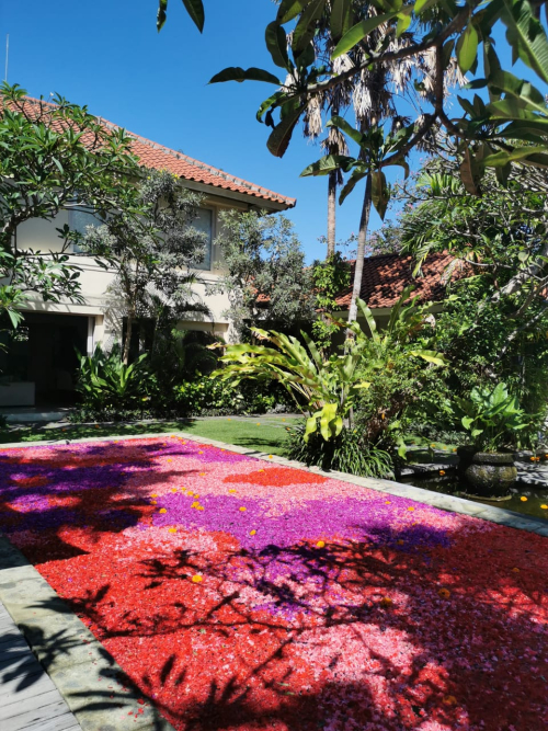 Ded72971-3f91-4fa9-b71f-16980316ea3f