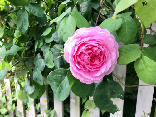 F1032F28-21CC-49EF-A180-6E31257BF21F