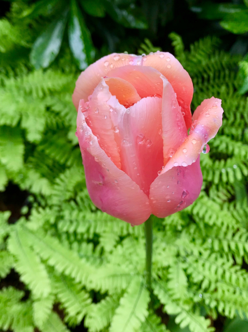 BAF5C3C5-596F-45DD-98C1-00AC0B3D6C6B