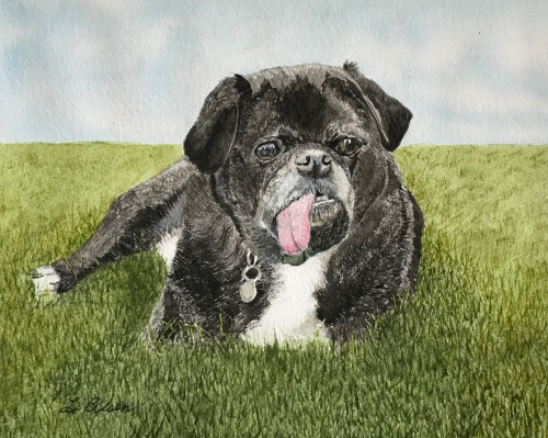 8F16A3C8-78A3-47E2-92DD-B487CBEF9231