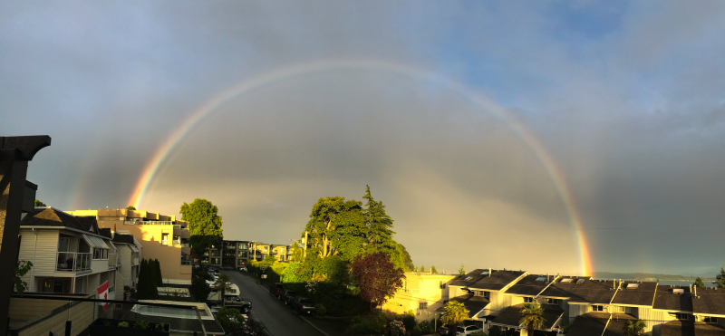 0E874518-1844-433E-AB9F-40627723470C 0E874518-1844-433E-AB9F-40627723470C