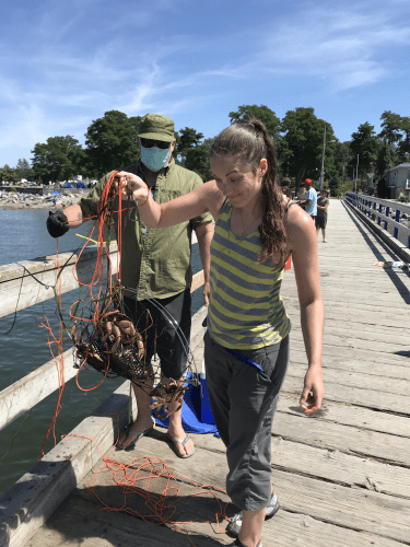 JqUaAvEhQ92ihFI4Megv%w