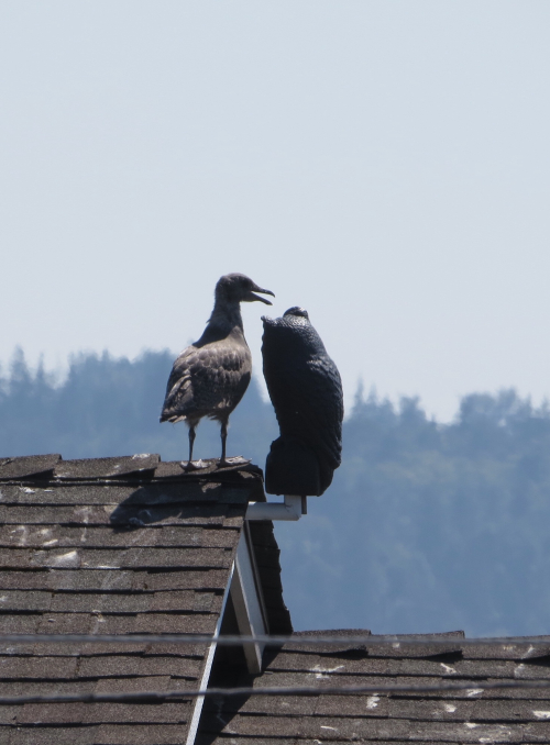 DEC114A1-26BD-4733-AC8D-BC3B73C42B8F