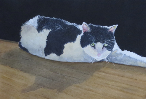 782EECF5-B25E-4313-9620-FE9EFB9B1F24