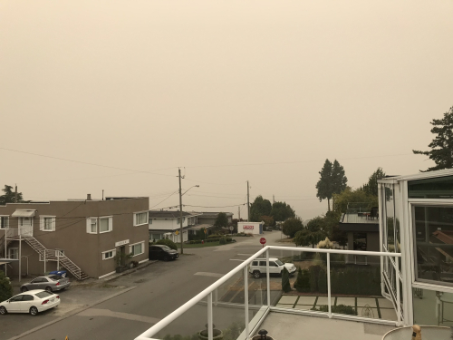 14A31863-2218-4E42-AAF0-13190BC538C2 14A31863-2218-4E42-AAF0-13190BC538C2