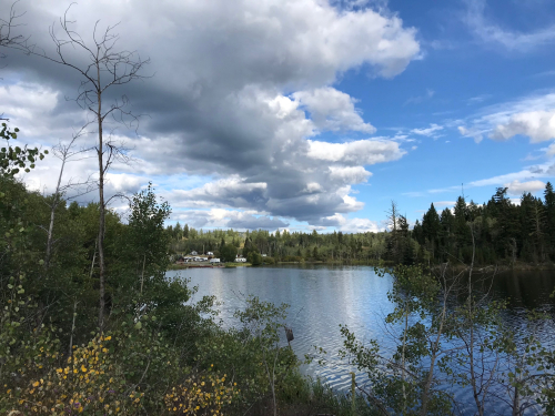 DDF49DC3-B8DE-4ED4-B174-392F959E62CD DDF49DC3-B8DE-4ED4-B174-392F959E62CD