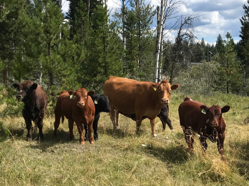 E0927156-FB99-4BFD-B08B-C37AFDBD963D E0927156-FB99-4BFD-B08B-C37AFDBD963D