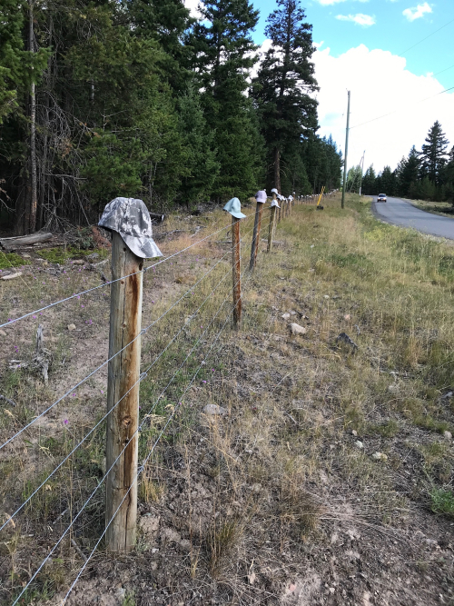 7DC9C178-54B5-4A8C-B98C-39936D39DF4D 7DC9C178-54B5-4A8C-B98C-39936D39DF4D