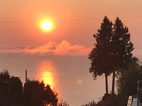 77EC3F68-225E-45B8-A224-41176E55CF4E 77EC3F68-225E-45B8-A224-41176E55CF4E