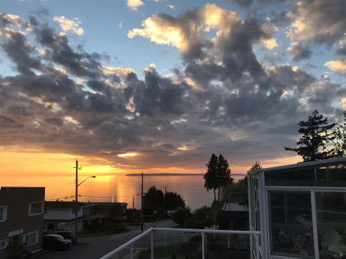 3F09BC5D-3826-4577-8F65-FDA8B1B8681D 3F09BC5D-3826-4577-8F65-FDA8B1B8681D