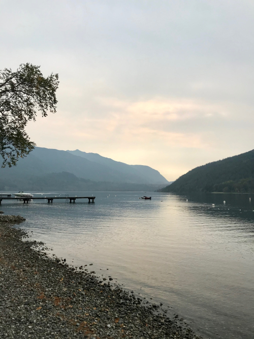 4B4D11D8-D91B-4534-8935-184C40F618E4 4B4D11D8-D91B-4534-8935-184C40F618E4