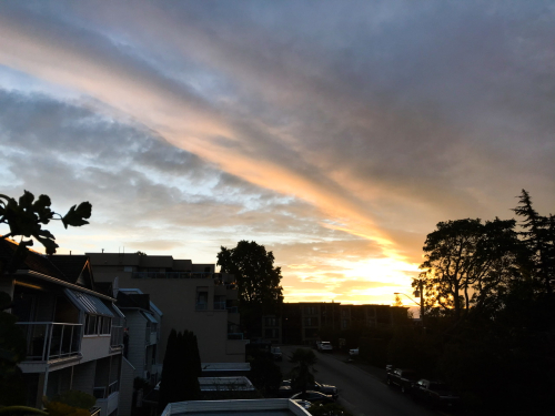 7BE9D0CD-B143-4194-BFA8-66FAAB86FA12 7BE9D0CD-B143-4194-BFA8-66FAAB86FA12