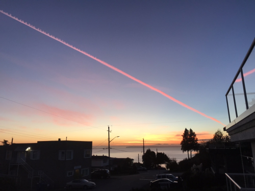 E43A800B-C810-4EA2-AEEC-4C80E1A7D736 E43A800B-C810-4EA2-AEEC-4C80E1A7D736