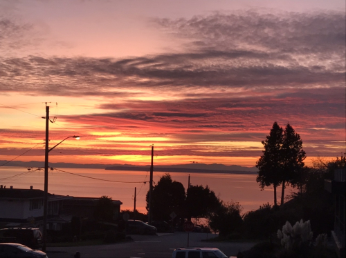 B97C9115-1867-4B45-98C8-162FAED6545F B97C9115-1867-4B45-98C8-162FAED6545F