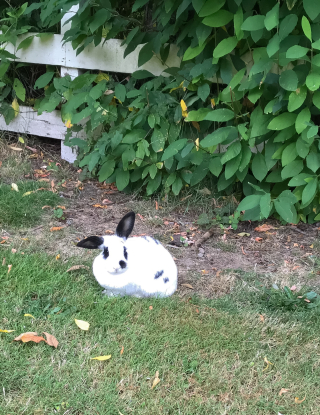 8571DF36-B18B-4975-8E55-32E1BAF3151D