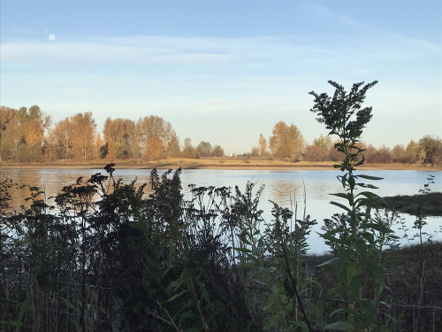 7D88EABC-53CC-4C4A-8E45-A0E8F3772DFD