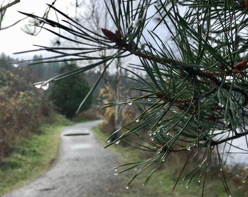 6E423DA5-CECE-488F-9250-FB9E9B587899