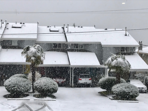 DA212A9C-A890-488C-AB02-9FEDE267EB89