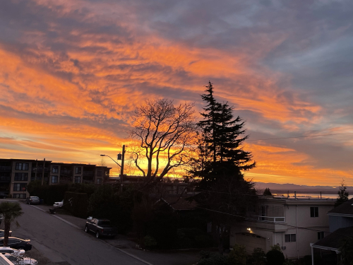 2396DF78-9DDD-4C73-93A4-5C2303ED7194